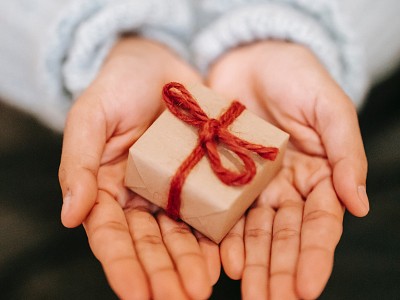 The Holiday Giving Guide